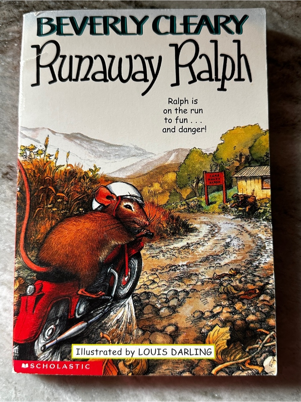 Scholastic Red & White Children's Book Back Cover Text
